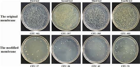 https://ltms.cfu.ac.ir|cfu meaning in microbiology.